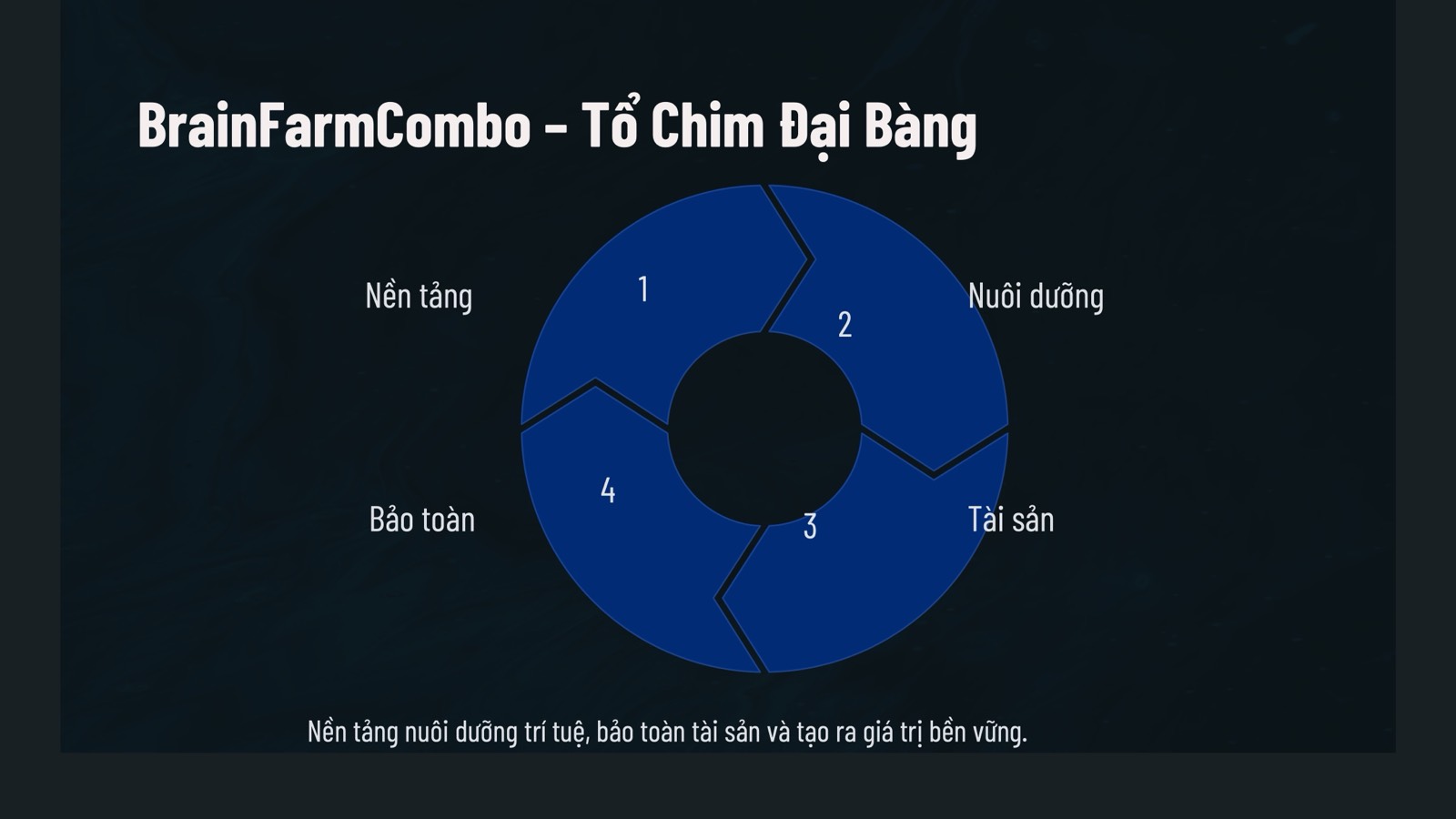 BrainFarmCombo – Tổ Chim Đại Bàng