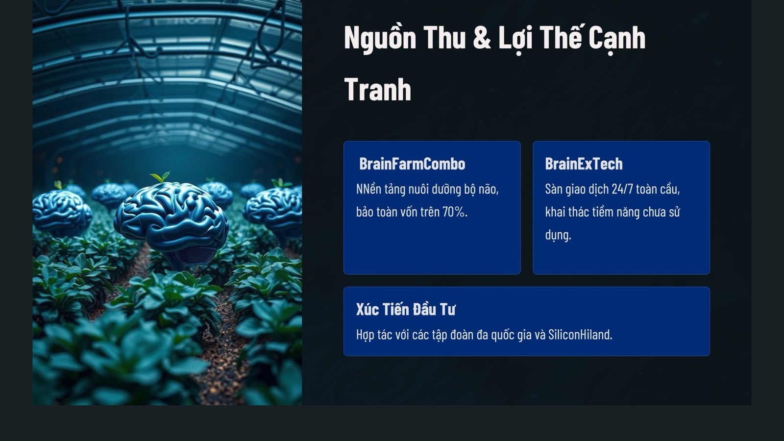 Xúc tiến đầu tư